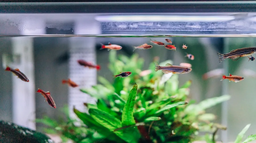 煤矿输送带接头工艺对比：热硫化与冷粘接的适用场景分析